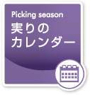 実りのカレンダー｜Picking season