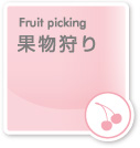 果物狩り｜Fruit picking