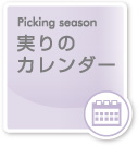 実りのカレンダー｜Picking season